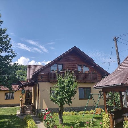 Pensiunea Ghita Vasile Vadu Izei Exteriér fotografie
