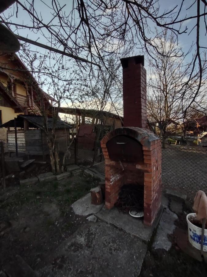 Pensiunea Ghita Vasile Vadu Izei Exteriér fotografie