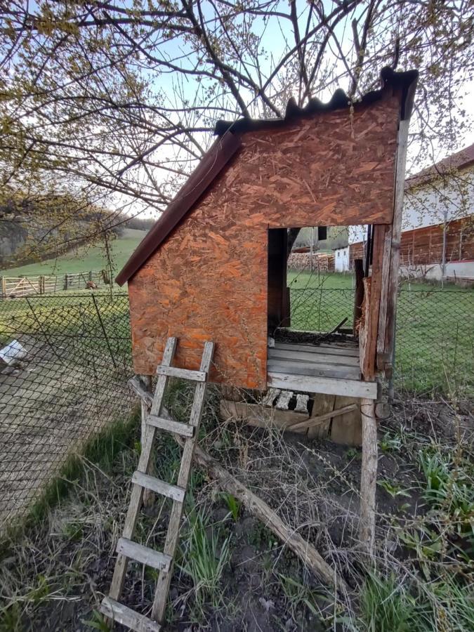 Pensiunea Ghita Vasile Vadu Izei Exteriér fotografie