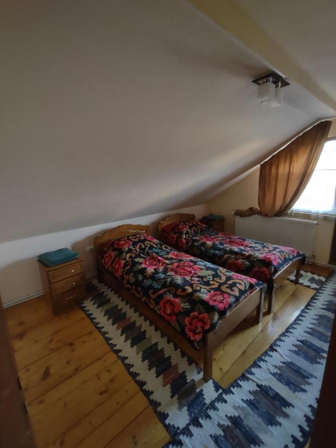 Pensiunea Ghita Vasile Vadu Izei Exteriér fotografie