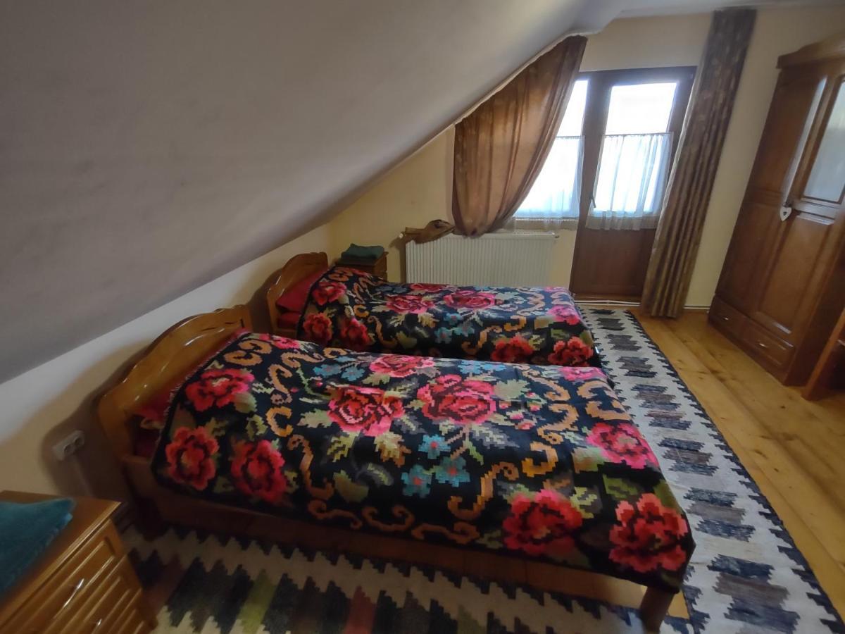 Pensiunea Ghita Vasile Vadu Izei Exteriér fotografie