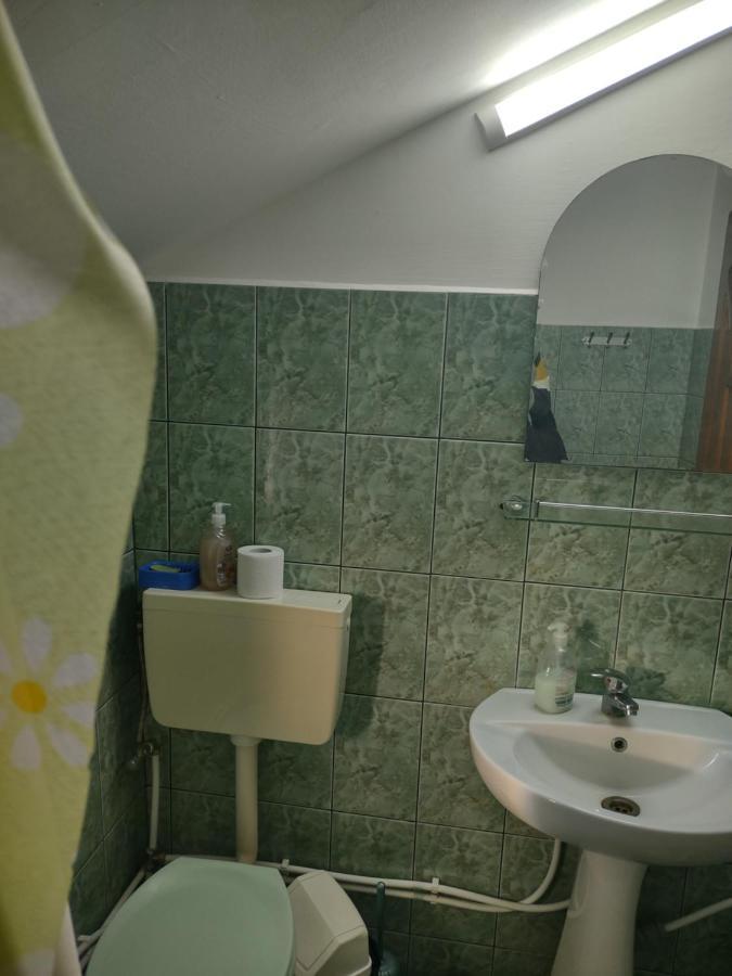 Pensiunea Ghita Vasile Vadu Izei Exteriér fotografie
