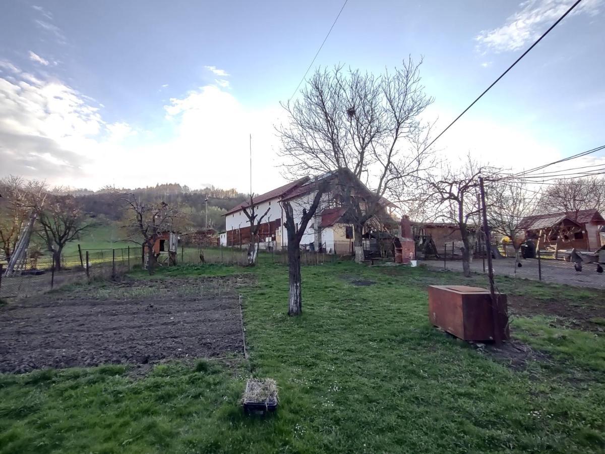 Pensiunea Ghita Vasile Vadu Izei Exteriér fotografie