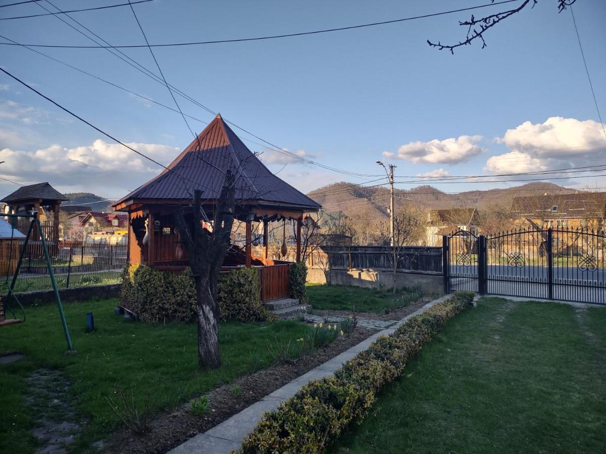 Pensiunea Ghita Vasile Vadu Izei Exteriér fotografie