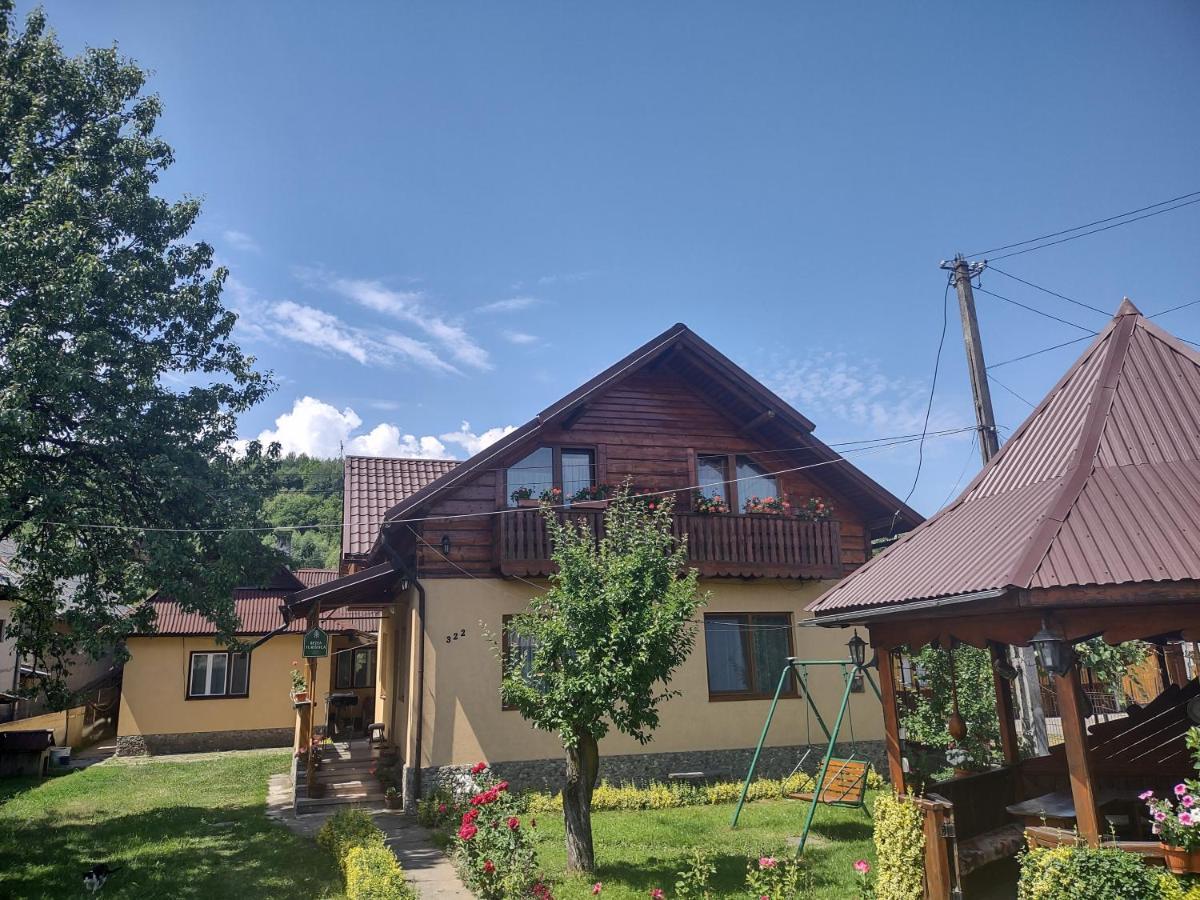 Pensiunea Ghita Vasile Vadu Izei Exteriér fotografie