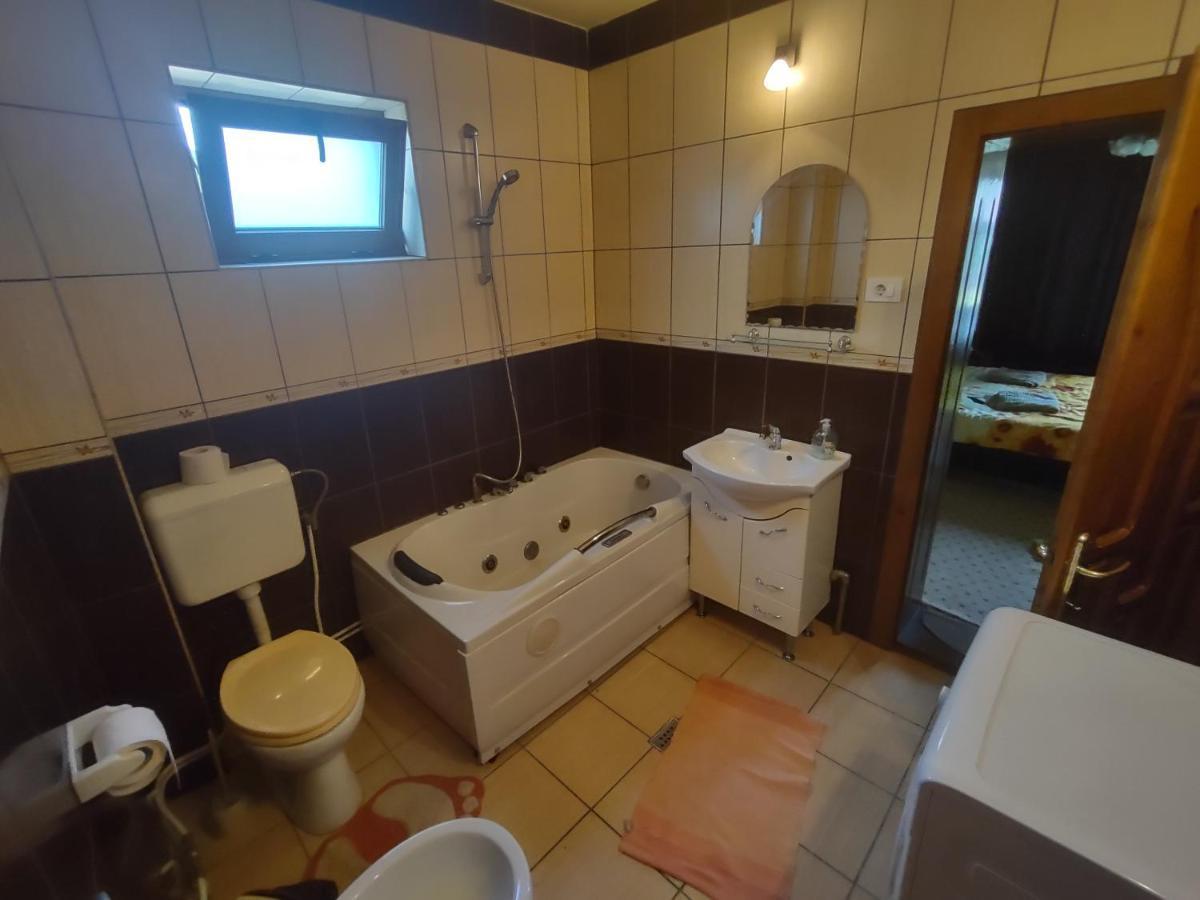 Pensiunea Ghita Vasile Vadu Izei Exteriér fotografie