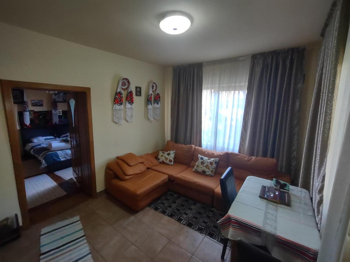 Pensiunea Ghita Vasile Vadu Izei Exteriér fotografie
